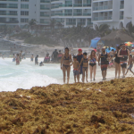 Playas de Quintana Roo en semáforo rojo por sargazo