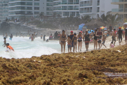 Playas de Quintana Roo en semáforo rojo por sargazo