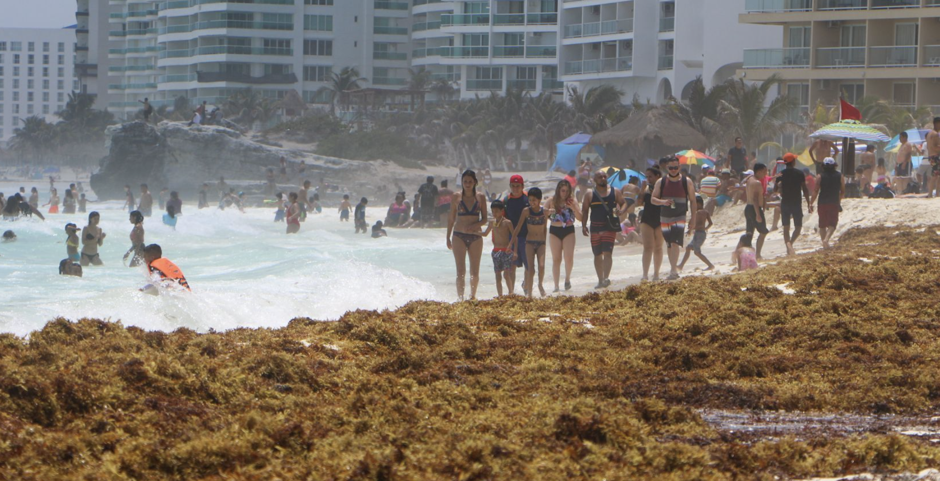 Playas de Quintana Roo en semáforo rojo por sargazo