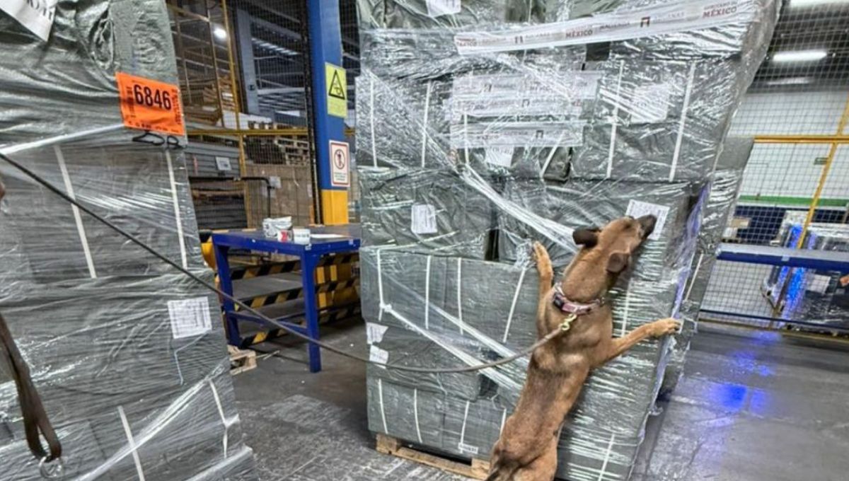 Decomisan más de 4 toneladas de cigarros falsos provenientes de Singapur en el AICM