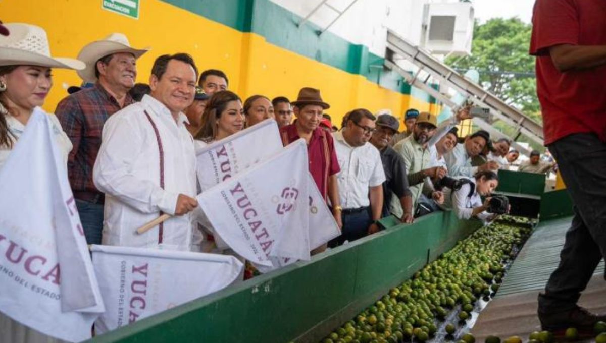 Gobernador Joaquín Díaz Mena impulsa la inversión y apoyos al campo en Yucatán
