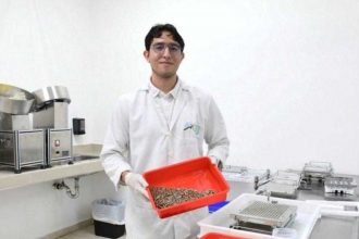 Yucatán destaca en estrategia nacional contra el dengue, solo reporta nueve casos