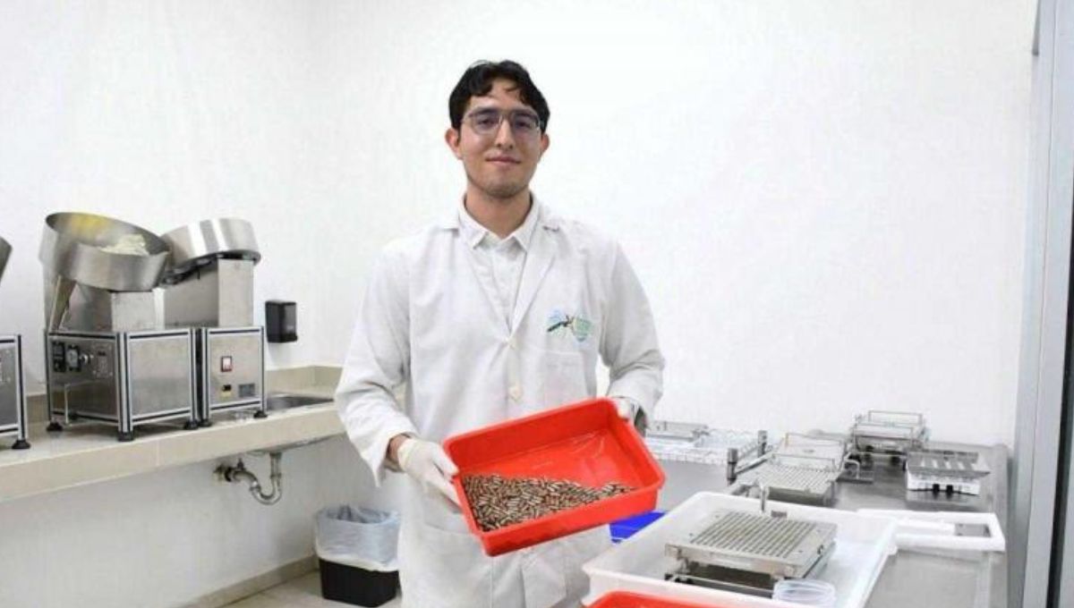 Yucatán destaca en estrategia nacional contra el dengue, solo reporta nueve casos