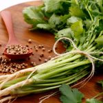 Estados Unidos investiga cilantro y perejil mexicanos por brote de ciclosporiasis