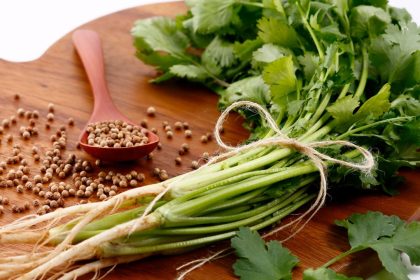 Estados Unidos investiga cilantro y perejil mexicanos por brote de ciclosporiasis