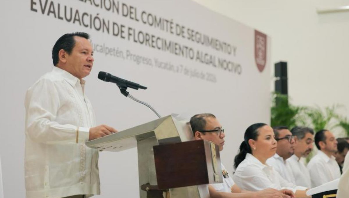 Gobierno de Yucatán activa el monitoreo permanente contra la marea roja