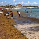 Gobierno federal anuncia 2 mil mdp para combatir el sargazo en Quintana Roo