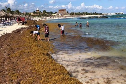 Gobierno federal anuncia 2 mil mdp para combatir el sargazo en Quintana Roo