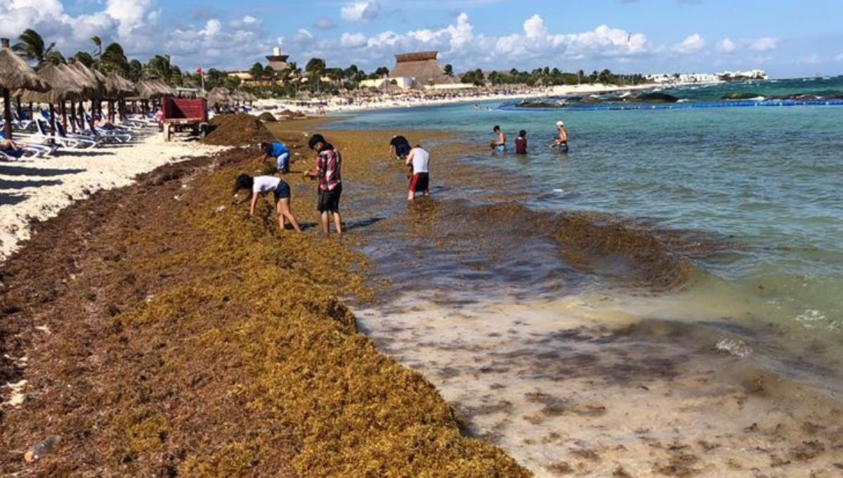 Gobierno federal anuncia 2 mil mdp para combatir el sargazo en Quintana Roo