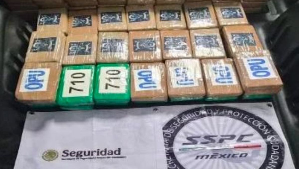 Aseguran 217 kilogramos de cocaína durante operativo en Tlalpan