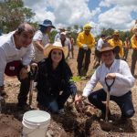 Reforestación de 292 hectáreas refuerza el compromiso ambiental de Yucatán