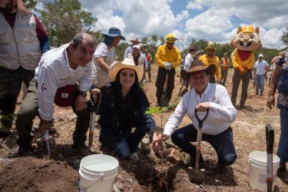 Reforestación de 292 hectáreas refuerza el compromiso ambiental de Yucatán